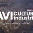 Frango Brasileiro em Crise: Embargos de 10 Países Podem Custar R$ 5 Bilhões ao Setor! O Que Fazer Agora?