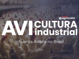 Frango Brasileiro em Crise: Embargos de 10 Países Podem Custar R$ 5 Bilhões ao Setor! O Que Fazer Agora?
