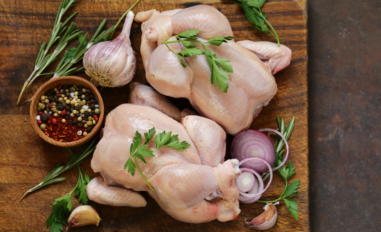 Frango brasileiro retoma voo: exportações perto de 400 mil t e portas abertas a novos mercados