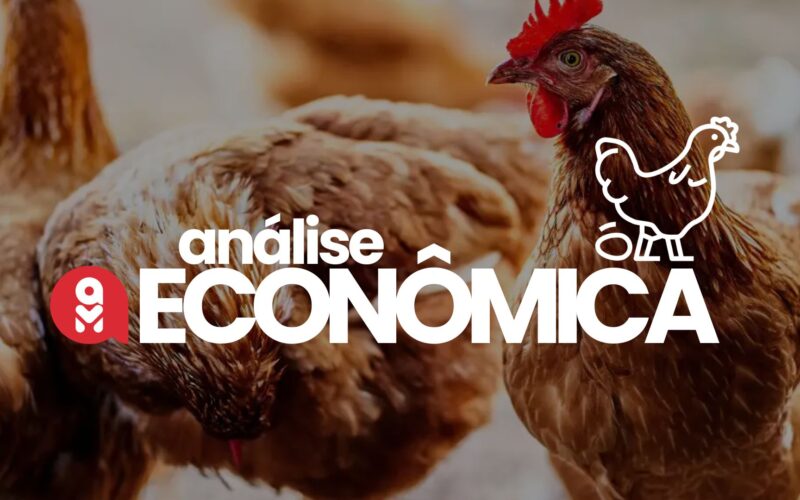 Frango em Crise, Ovos em Queda: Como as Exportações Podem Virar o Jogo na Avicultura Brasileira?