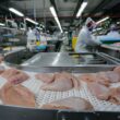 Frango Russo: O Que Esperar do Crescimento Inédito nas Exportações em 2025?