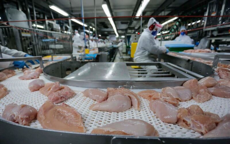 Frango Russo: O Que Esperar do Crescimento Inédito nas Exportações em 2025?