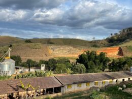 Frigorífico adota práticas sustentáveis para conquistar a geração Z no mercado de carnes.