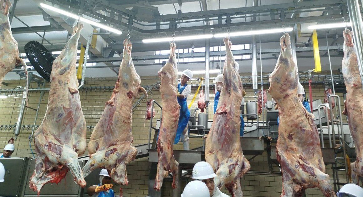 Frigorífico de Rio Verde ganha aval para abater gado no programa Precoce MS. Frigorífico de Rio Verde ganha aval para abater gado no programa Precoce MS.