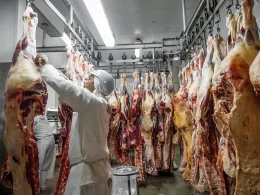 Frigorífico deve expor cópia de TAC em local de ampla visibilidade, determina nova norma de fiscalização