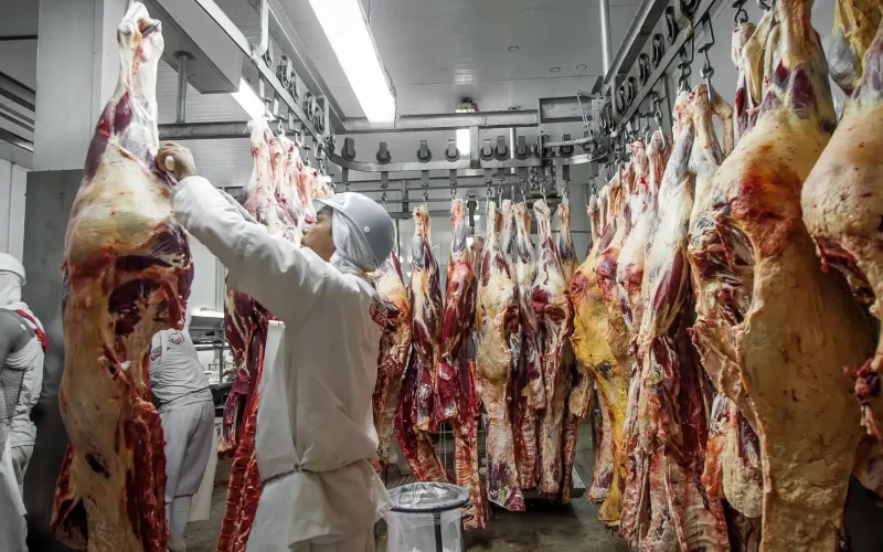 Frigorífico deve expor cópia de TAC em local de ampla visibilidade, determina nova norma de fiscalização