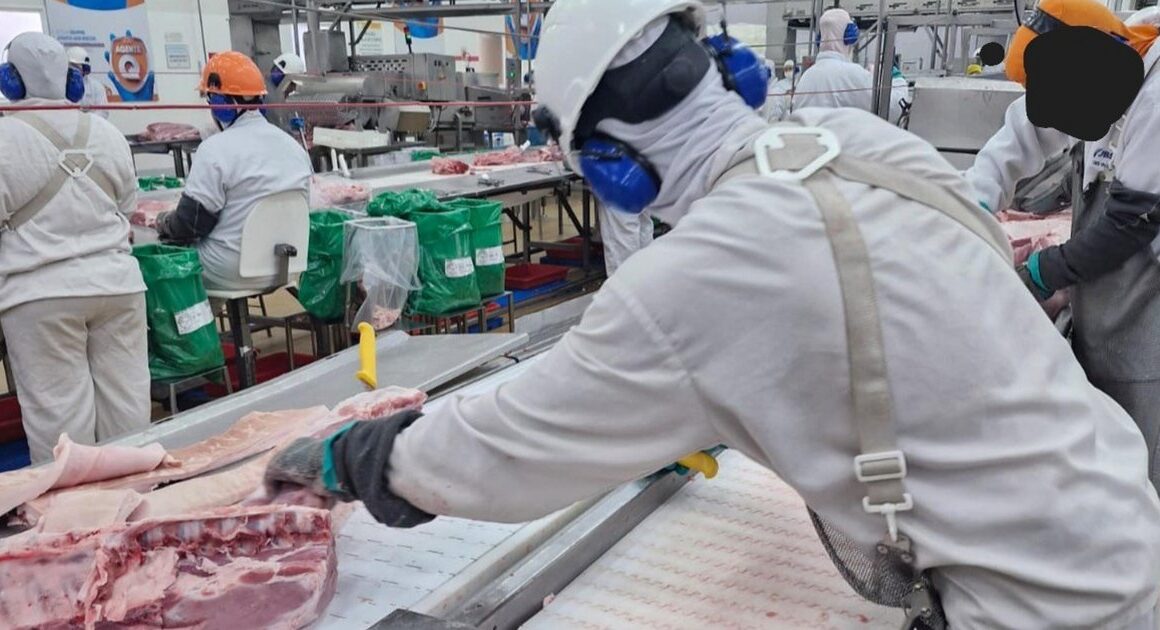 Frigorífico é parcialmente interditado no norte do RS por irregularidades trabalhistas.