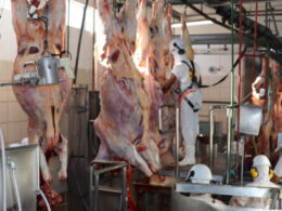 Frigorífico em AF consegue selo e vai gerar 100 novos empregos.