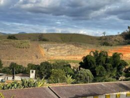 Frigorífico investe em práticas sustentáveis para conquistar a preferência da geração Z no mercado consumidor