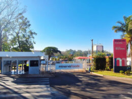 Frigorífico Minerva oferece vagas de estágio em Araguaína e mais três cidades do Brasil