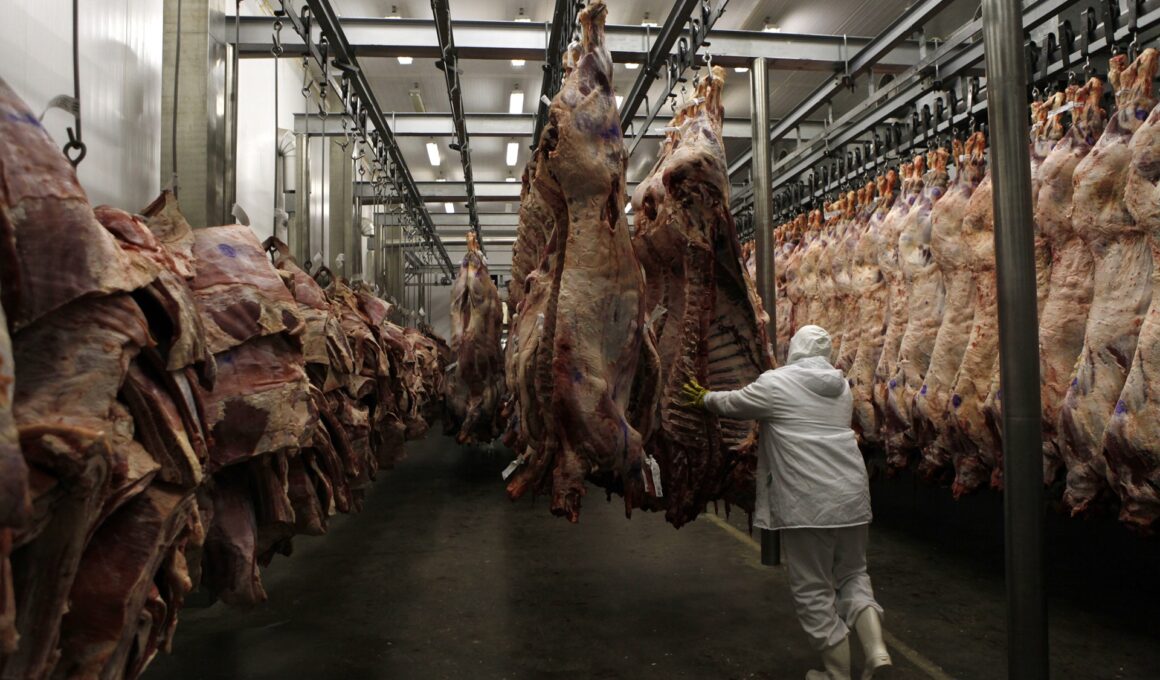 Frigoríficos cancelam exportação para os EUA e suspendem produção no MS Frigoríficos cancelam exportação para os EUA e suspendem produção no MS