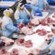 Frigoríficos de Goiás suspendem exportação de carne para os EUA