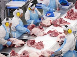 Frigoríficos de Goiás suspendem exportação de carne para os EUA
