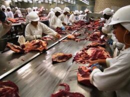 Frigoríficos de MS e GO paralisam produção de carne bovina após tarifaço de Trump