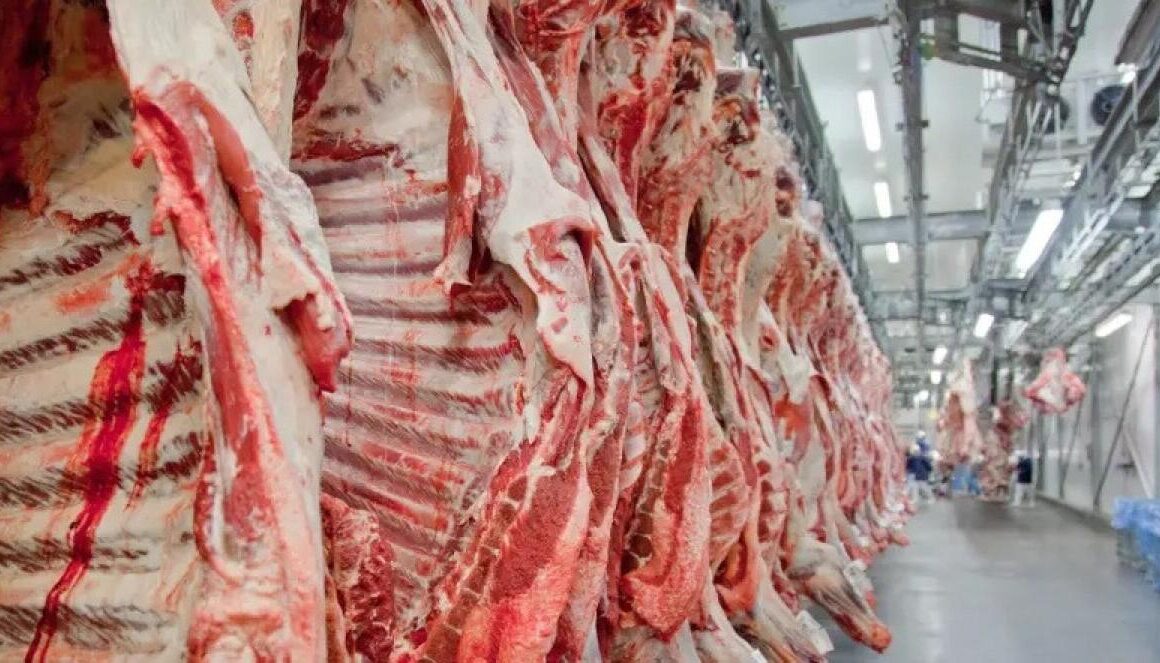 Frigoríficos de MT cobram governo após tarifa de 50% dos EUA sobre carne brasileira