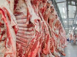Frigoríficos de MT cobram governo após tarifa de 50% dos EUA sobre carne brasileira