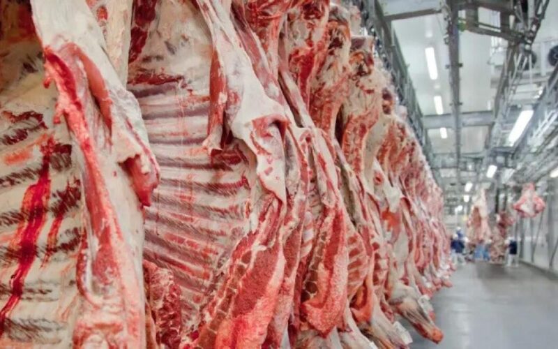 Frigoríficos de MT cobram governo após tarifa de 50% dos EUA sobre carne brasileira