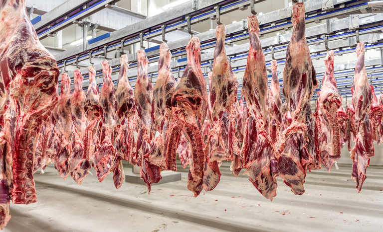 Frigoríficos do Brasil param de exportar carne para os EUA; motivo não foi divulgado