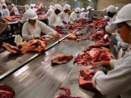 Frigoríficos do MS suspendem exportação de carne bovina para os Estados Unidos