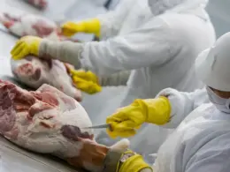 Frigoríficos: quem deve se destacar nos balanços do 2º trimestre de 2025, segundo o mercado financeiro.