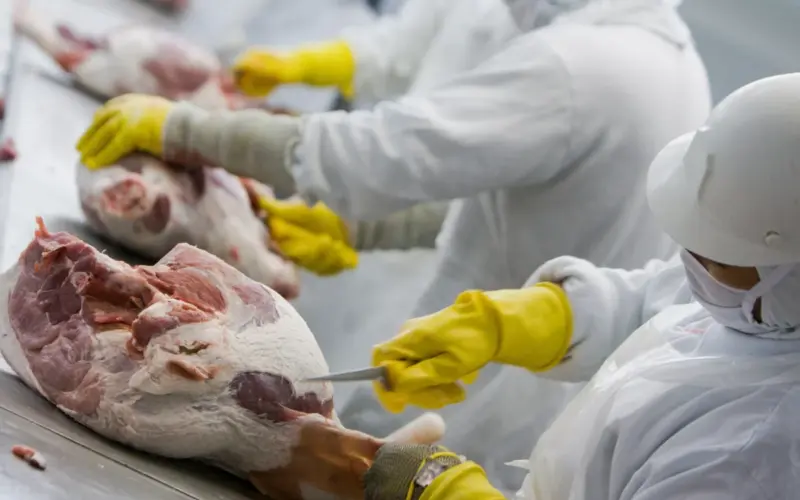 Frigoríficos: quem deve se destacar nos balanços do 2º trimestre de 2025, segundo o mercado financeiro.