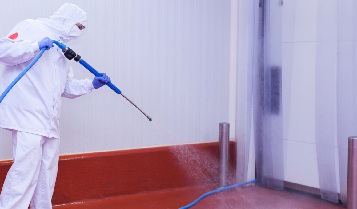 Frigoríficos: veja as etapas cruciais para higiene e evite contaminação na produção de alimentos.