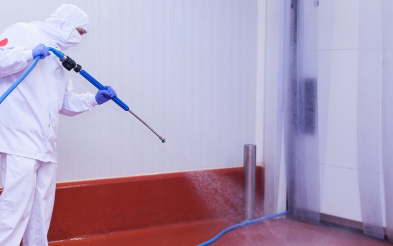 Frigoríficos: veja as etapas cruciais para higiene e evite contaminação na produção de alimentos.