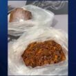 Funcionários de frigorífico são presos por furto de pedras de vesícula de bois em operação policial