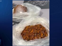 Funcionários de frigorífico são presos por furto de pedras de vesícula de bois em operação policial