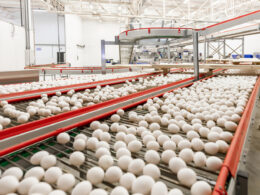 Granja Faria: O que a compra de US$ 1,1 bilhão revela sobre o futuro da indústria global de alimentos