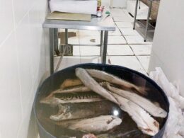 Guarda Municipal interdita frigorífico de peixes em Hortolândia por más condições