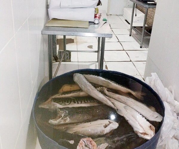 Guarda Municipal interdita frigorífico de peixes em Hortolândia por más condições