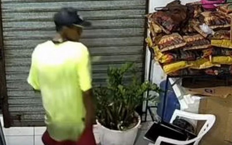 Homem é flagrado por câmeras enquanto furtava frigorífico em Palmeira dos Índios