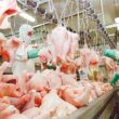Impacto Surpreendente: O Crescimento da Produção de Carne de Frango na China em 2025 e Oportunidades Imperdíveis!