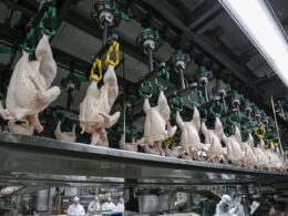 Impactos Surpreendentes: O Que a Queda nas Exportações de Aves Ucranianas Para a UE Significa Para Seu Mercado!