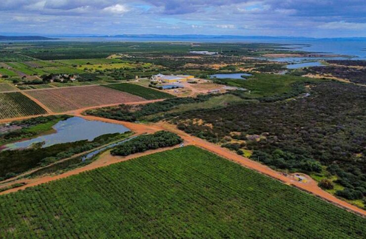 Impostos em Foco: Reforma Tributária Afeta Imóveis Rurais e Arrendamento de Terras