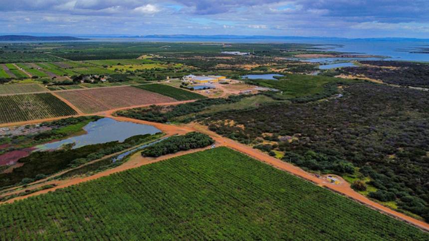 Impostos em Foco: Reforma Tributária Afeta Imóveis Rurais e Arrendamento de Terras