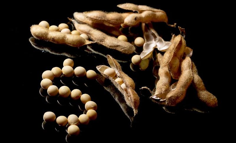 Incerteza Trump-China Impulsiona Soja Brasileira: Descubra o Impacto Positivo no Agro Nacional!