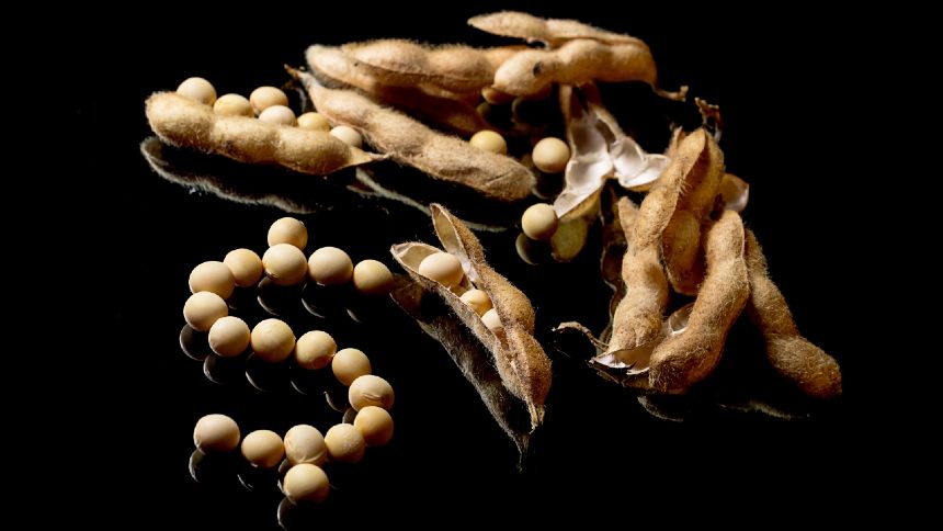 Incerteza Trump-China Impulsiona Soja Brasileira: Descubra o Impacto Positivo no Agro Nacional!