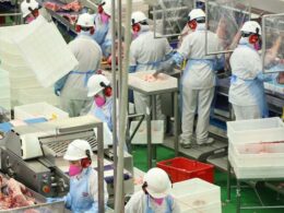 Indústria em Alta: Descubra o Impacto do Aumento de 0,66% nos Preços em Setembro e Como Isso Afeta Você