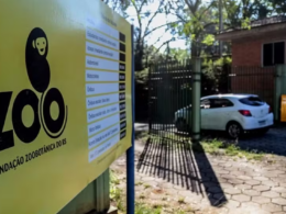 Influenza Aviária no Zoológico: RS Revela Documentos Surpreendentes e O Que Isso Significa Para Você!