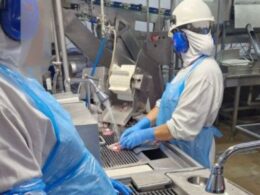 Inspeção encontra gestantes expostas a níveis perigosos de ruído em frigorífico de Marau