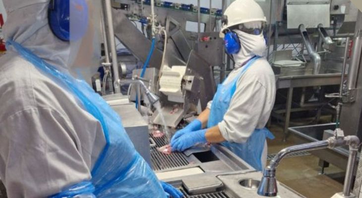 Inspeção encontra gestantes expostas a níveis perigosos de ruído em frigorífico de Marau