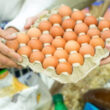 Junho Surpreendente: Alimentos em Queda e a Inflação em Direção Negativa – O que Isso Significa para seu Bolso!