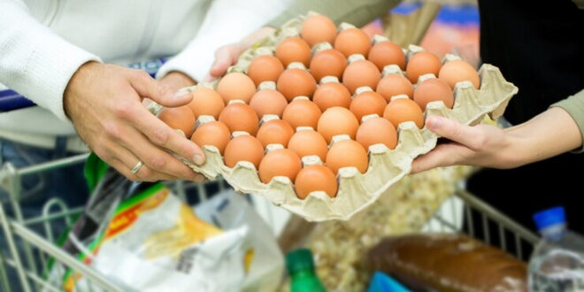 Junho Surpreendente: Alimentos em Queda e a Inflação em Direção Negativa – O que Isso Significa para seu Bolso!