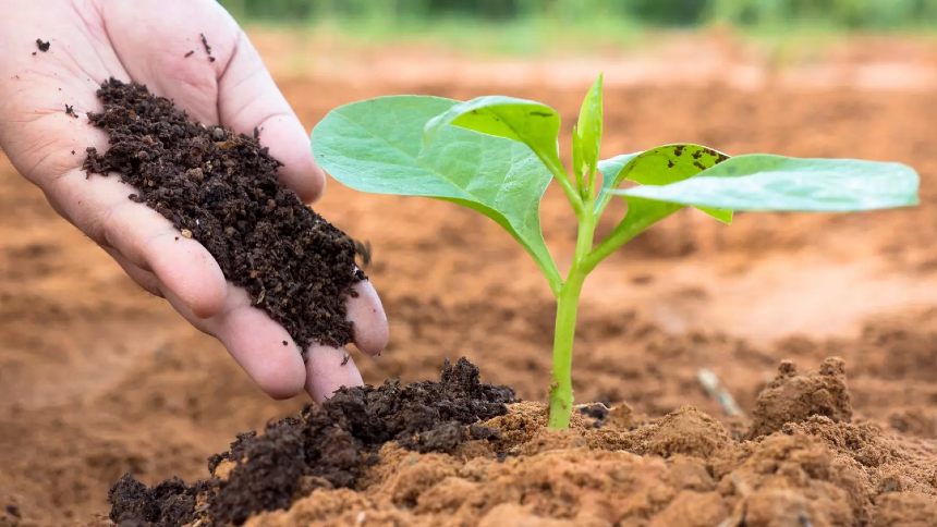 Lei dos Bioinsumos Aprovada no Senado: O Que Muda no Futuro da Agricultura Brasileira