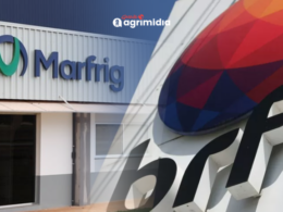 Marfrig: O Dominio de 75% das Ações e a Estratégia Visionária da Fusão com a BRF Que Pode Transformar o Mercado!