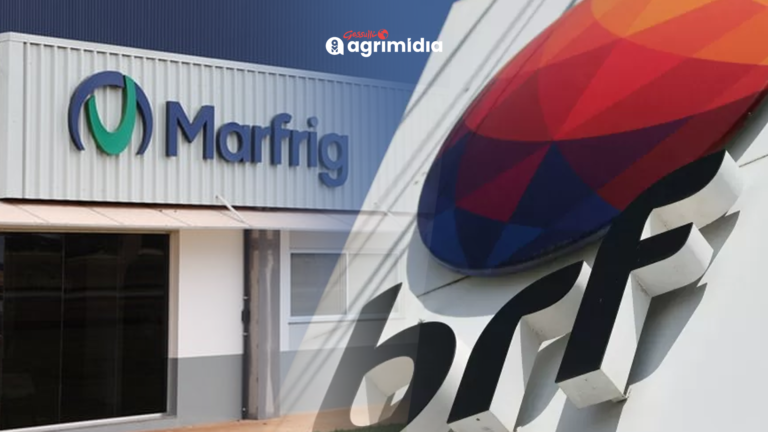 Marfrig: O Dominio de 75% das Ações e a Estratégia Visionária da Fusão com a BRF Que Pode Transformar o Mercado!