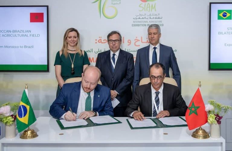 Marrocos Abre Portas para Carne Brasileira: Isenção Total de Impostos Revoluciona Exportações