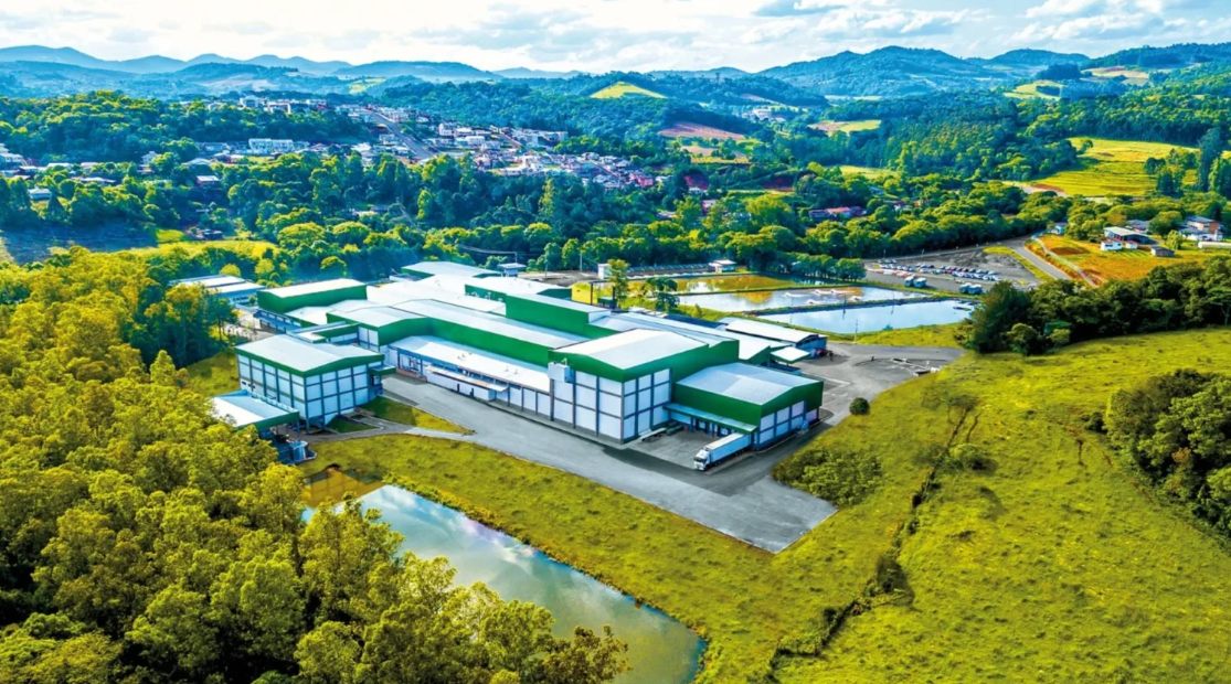 Master Agroindustrial Bate Recorde com 3,7 Mil Toneladas de Carne Suína: O Segredo por Trás do Sucesso! Master Agroindustrial Bate Recorde com 3,7 Mil Toneladas de Carne Suína: O Segredo por Trás do Sucesso!